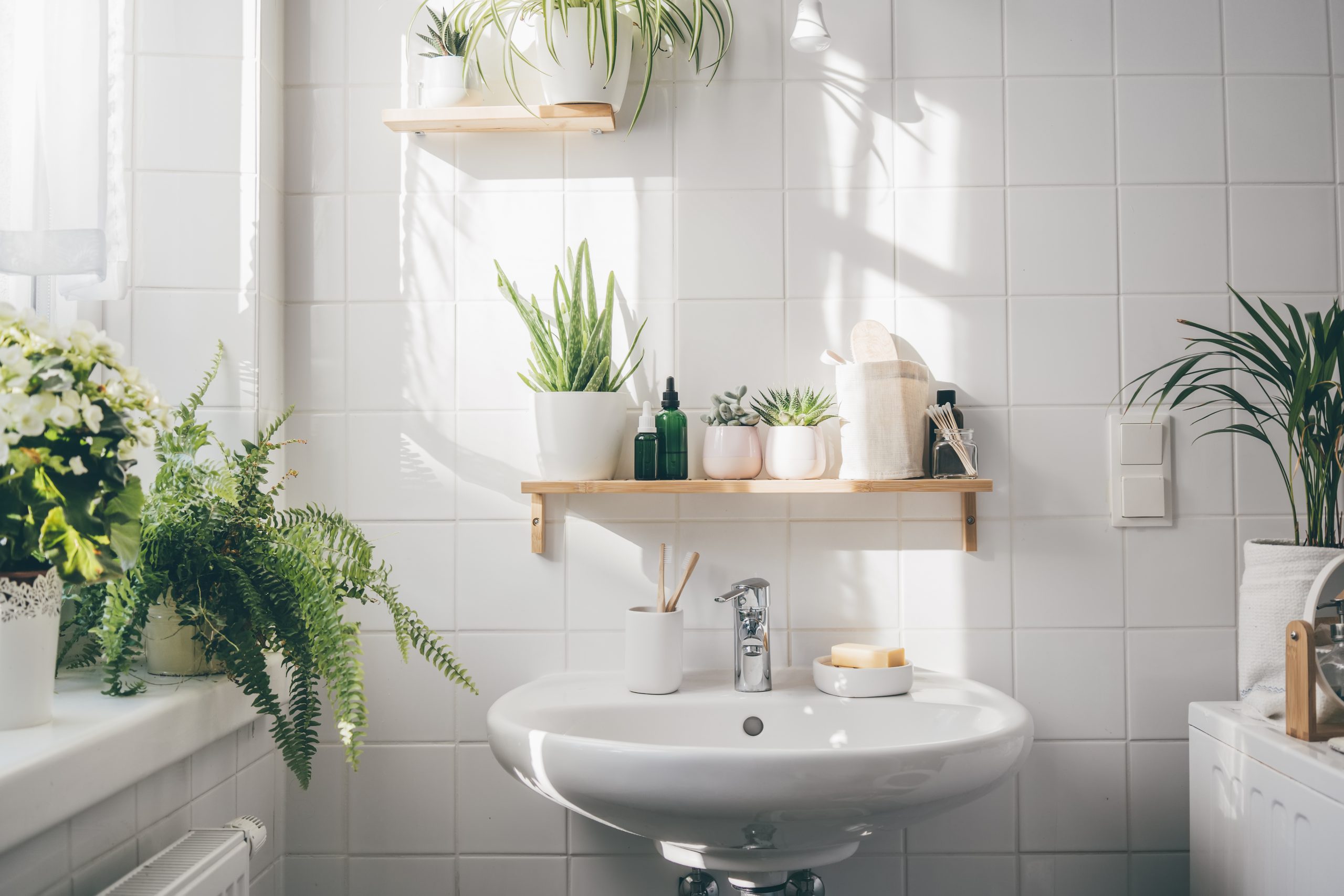 Modern White Bathroom With Many Green Plants 2021 10 20 00 59 04 Utc