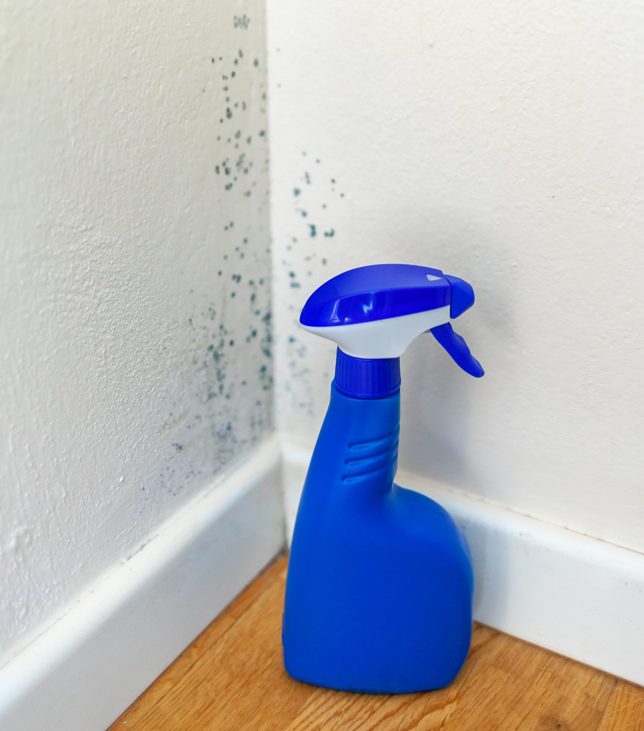Anti Mould Spray For Mold Removal.