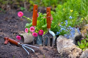 Plantas e flores no jardim.