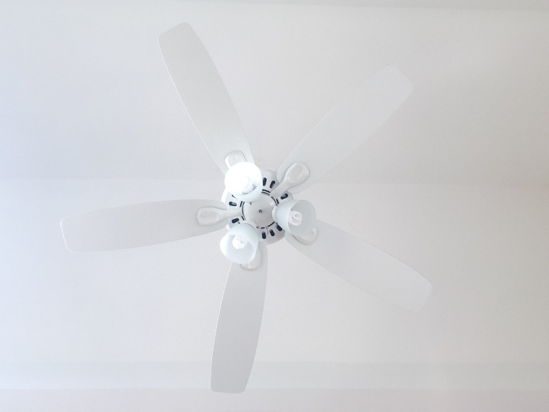 White On White A White Ceiling Fan Is Camouflaged 2024 11 25 13 30 09 Utc (chatuba)