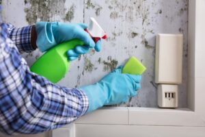 produtos antimofo